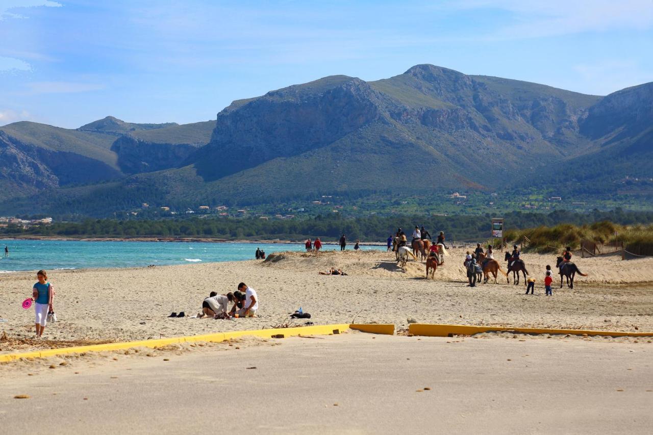 Appartement 50m From The With A Gym, Son Serra De Marina, Mallorca *